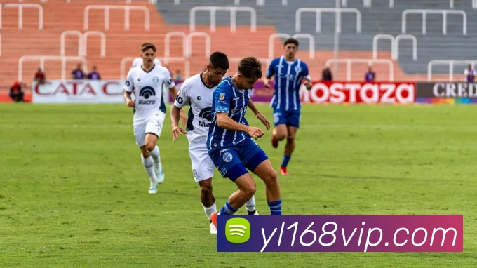 澳门永利平台生态图